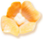 fleur en pâte à fleur